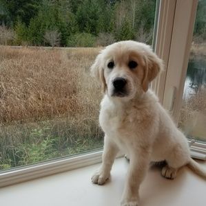 Meet your Posher, Jack